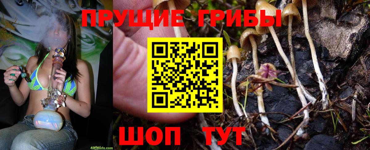 Псилоцибиновые грибы прущие грибы Мариинск